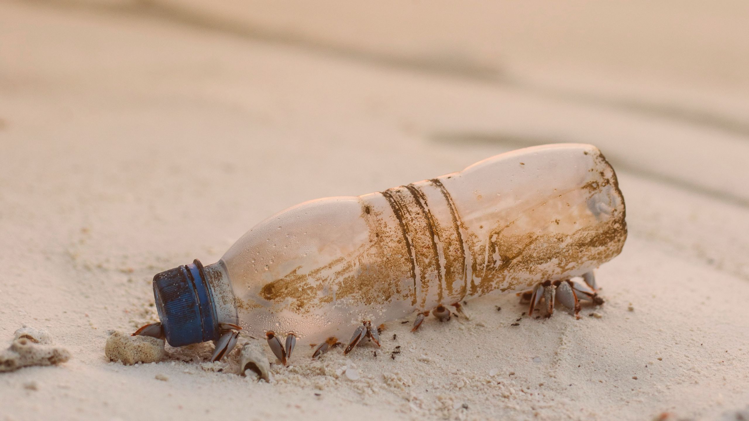 Trash found on a beach