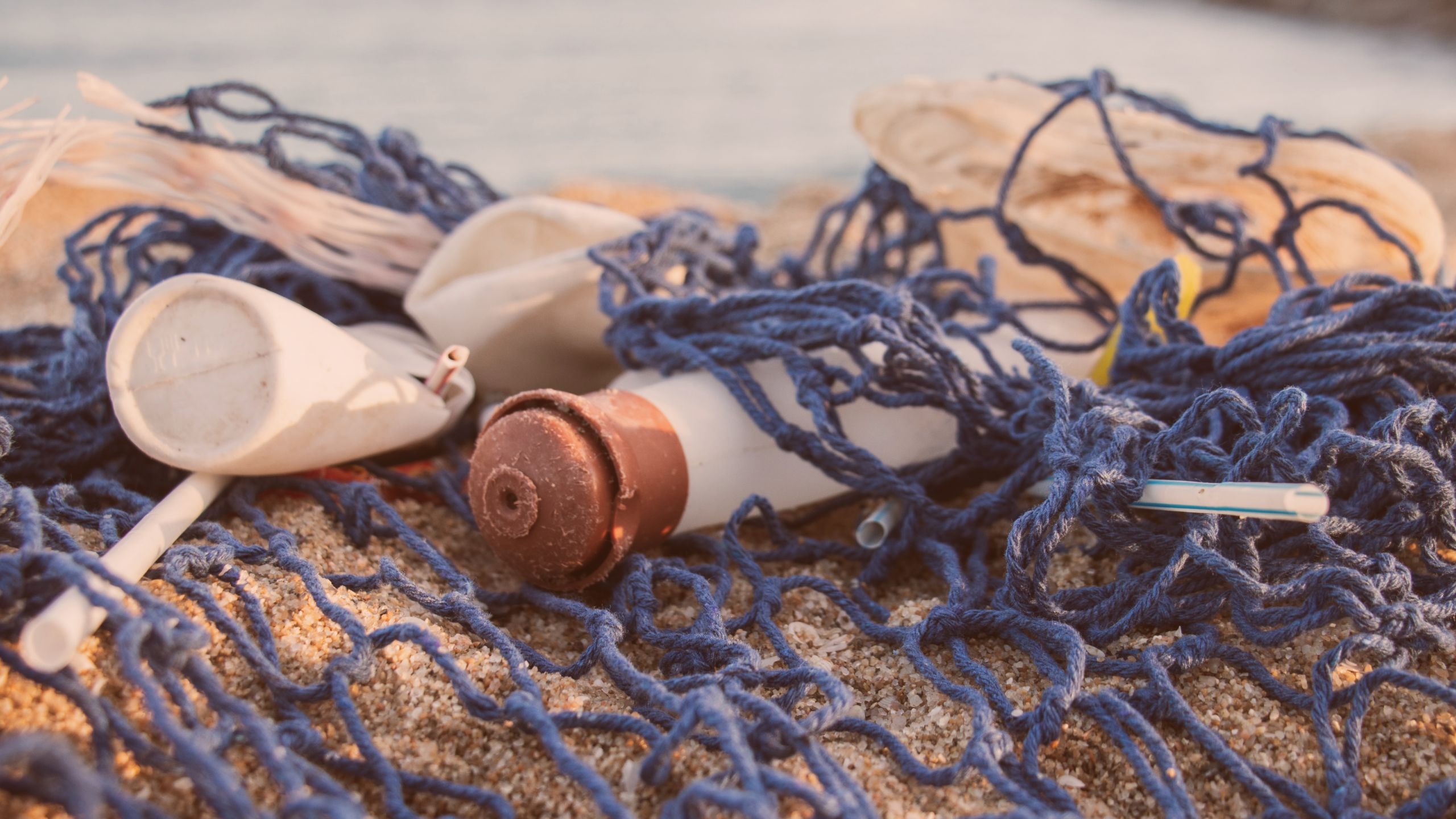 Trash found on a beach